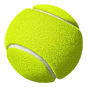 Paris sportifs-tennis Winoui